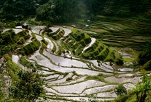 Banaue